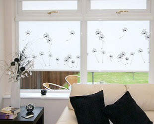 roller-blinds-serv